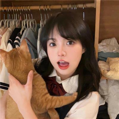 少数意见